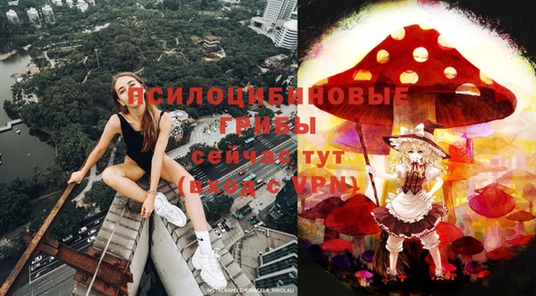 трава Абинск