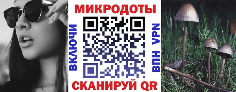 ссылка на мегу как войти  Новочеркасск  Псилоцибиновые грибы Cubensis  наркошоп 
