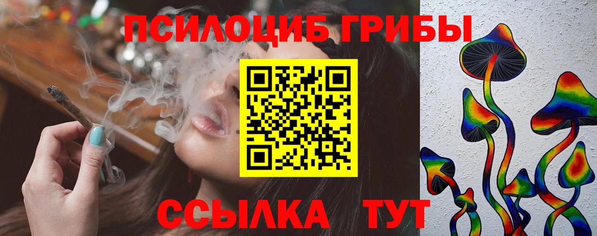 Новочеркасск  Псилоцибиновые грибы Psilocybine cubensis  дарнет шоп  Вход с VPN 