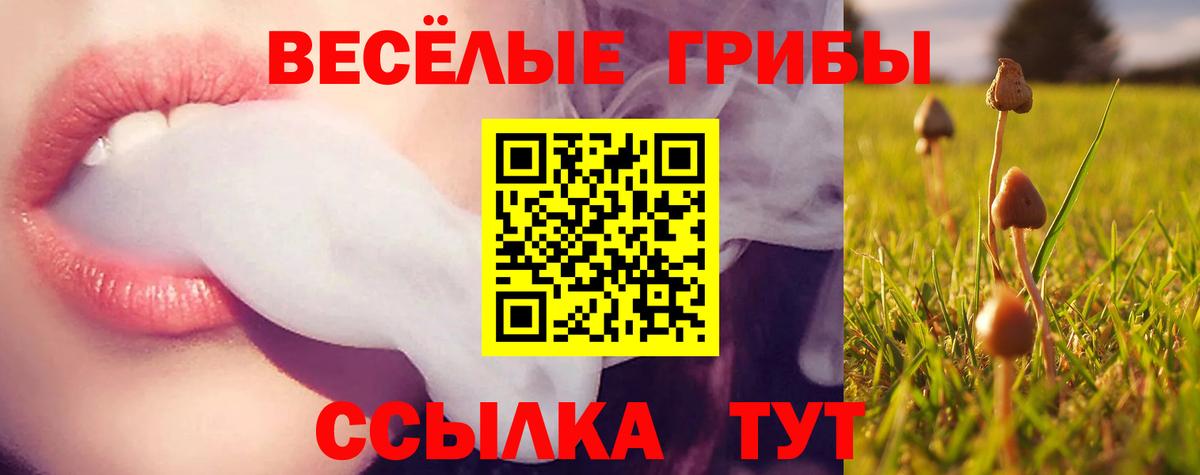 Галлюциногенные грибы GOLDEN TEACHER Новочеркасск